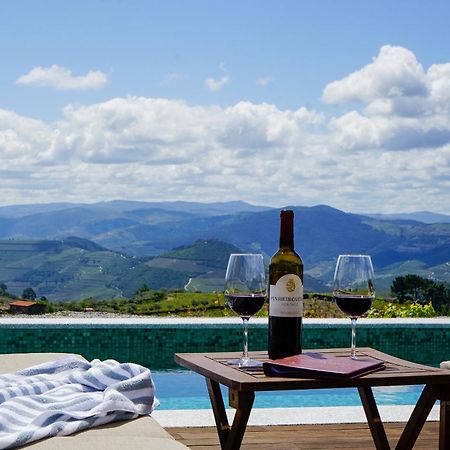 Casa Do Santo - Wine & Tourism Villa Provesende Luaran gambar