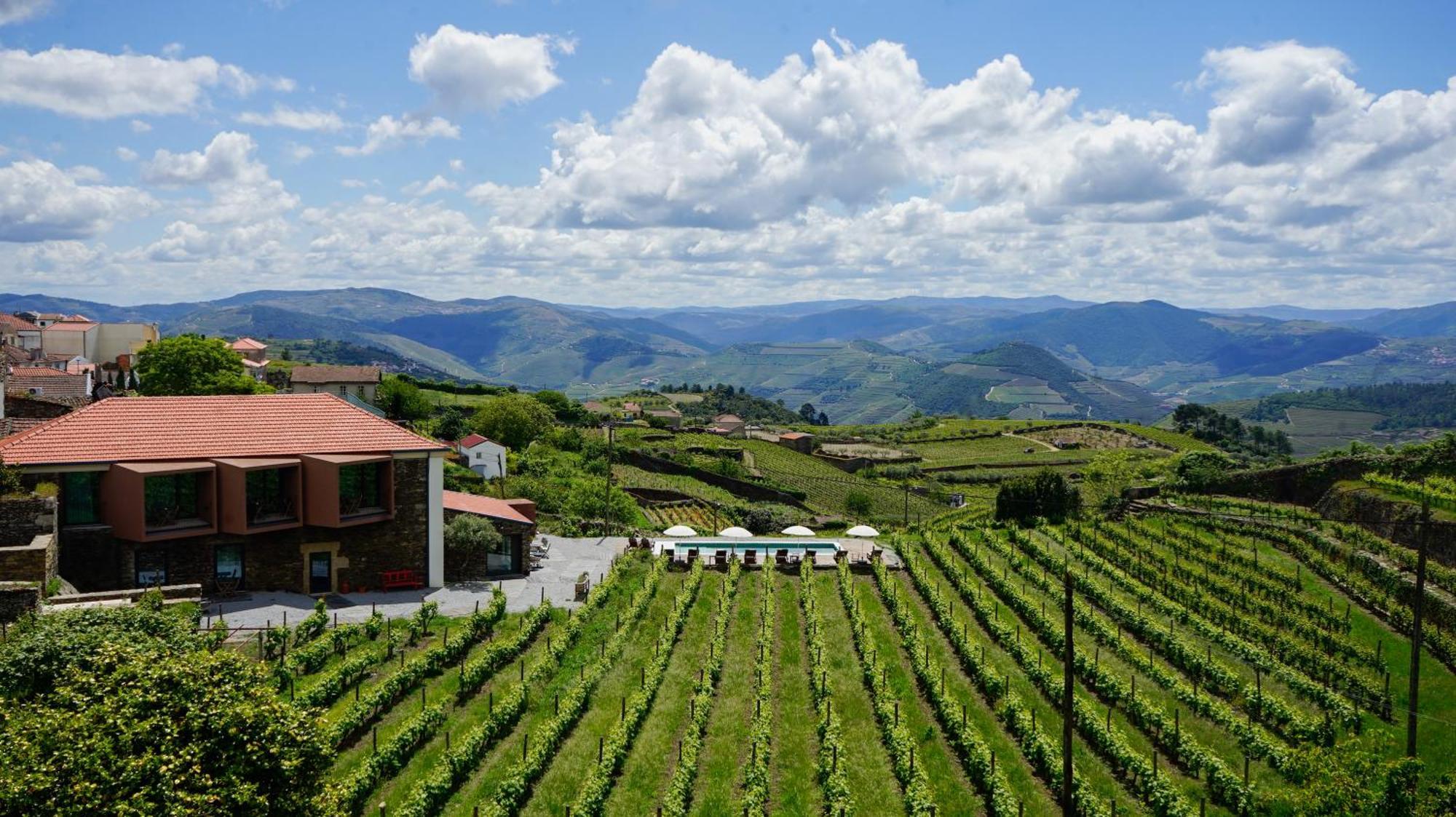 Casa Do Santo - Wine & Tourism Villa Provesende Luaran gambar